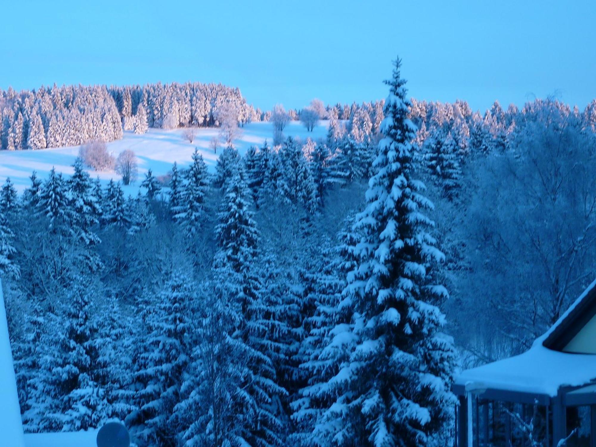 Hotel Fischer 3*